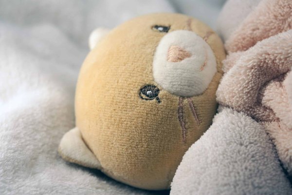 Les avantages des peluches chaton pour les enfants