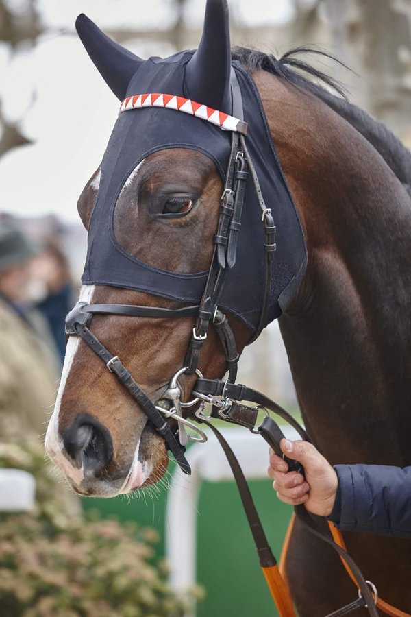 Quel est le rôle de l'entraînement dans la réussite au Prix d'Amérique PMU 2024 ?
