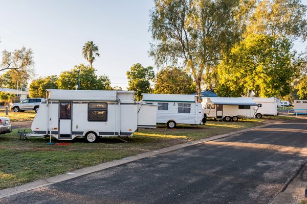 Les campings en Camargue offrent-ils des animations typiques de la région ?
