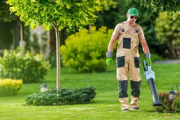 Conseils d'expert : Comment choisir les meilleurs outils de jardinage pour votre espace