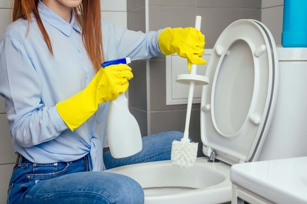 Choisir la meilleure brosse wc : nos conseils